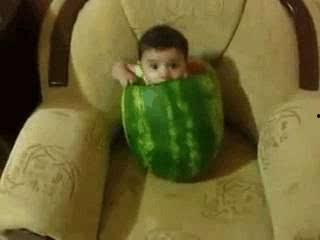 吃瓜吃得好辛苦